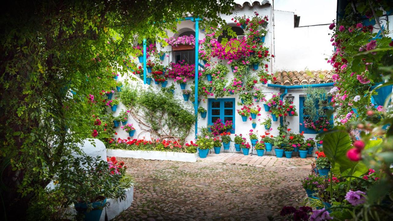 Apartamento Anita'S Place Córdoba Eksteriør billede